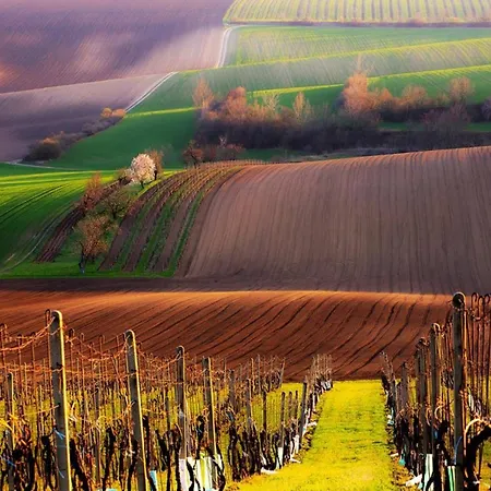 U Pepana * Kyjov (Hodonin District)